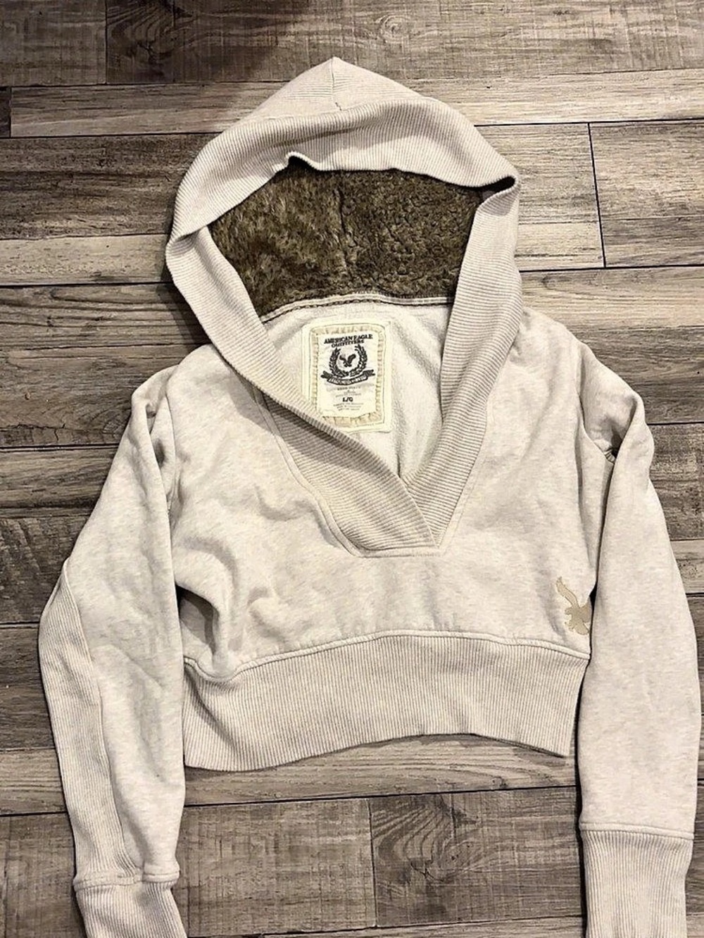 Y2K American Eagle Outfitters Women's Eagle Fleece Hooded Sweatshirt Size Large